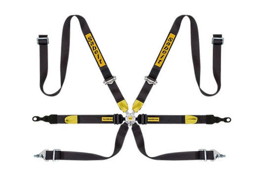 Sabelt Silver Series Enduro Porsche GT2-GT3-GT4 6-Point Racing Harness