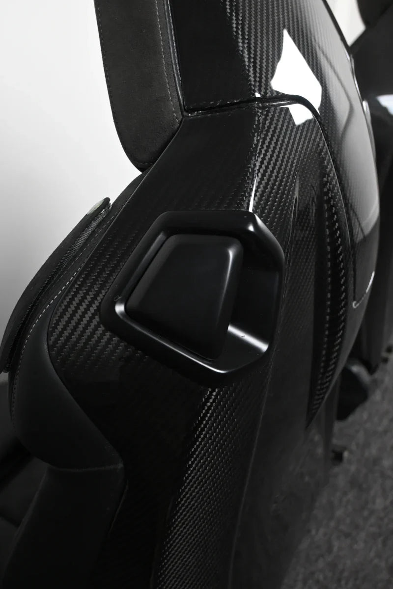 G8X Dry Carbon Fiber Seat Back Replacement Set