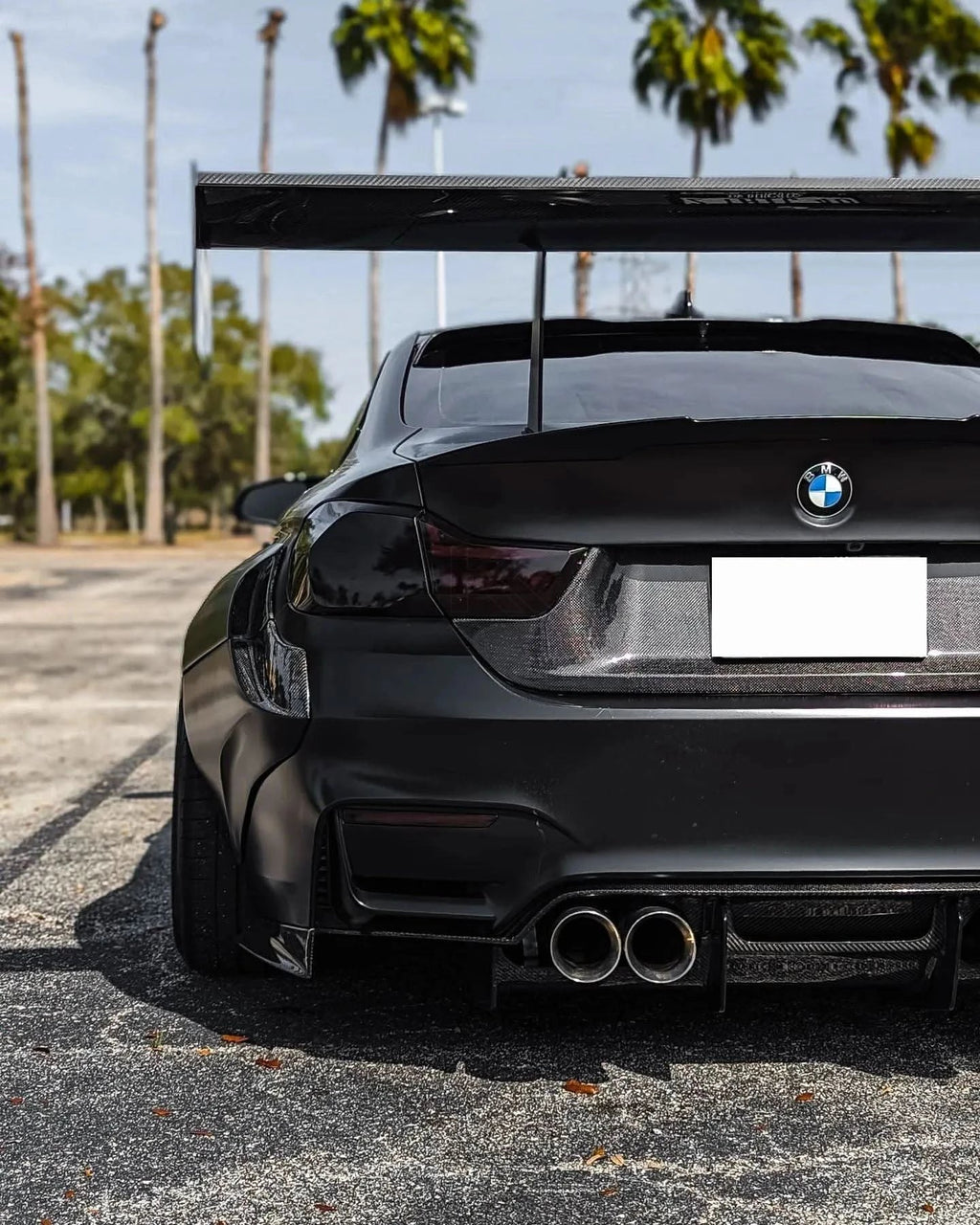BMW 3 Series F80 F82 M3 M4 PSM Style Carbon Fiber Rear Diffuser Under Tray (2015 - 2020)