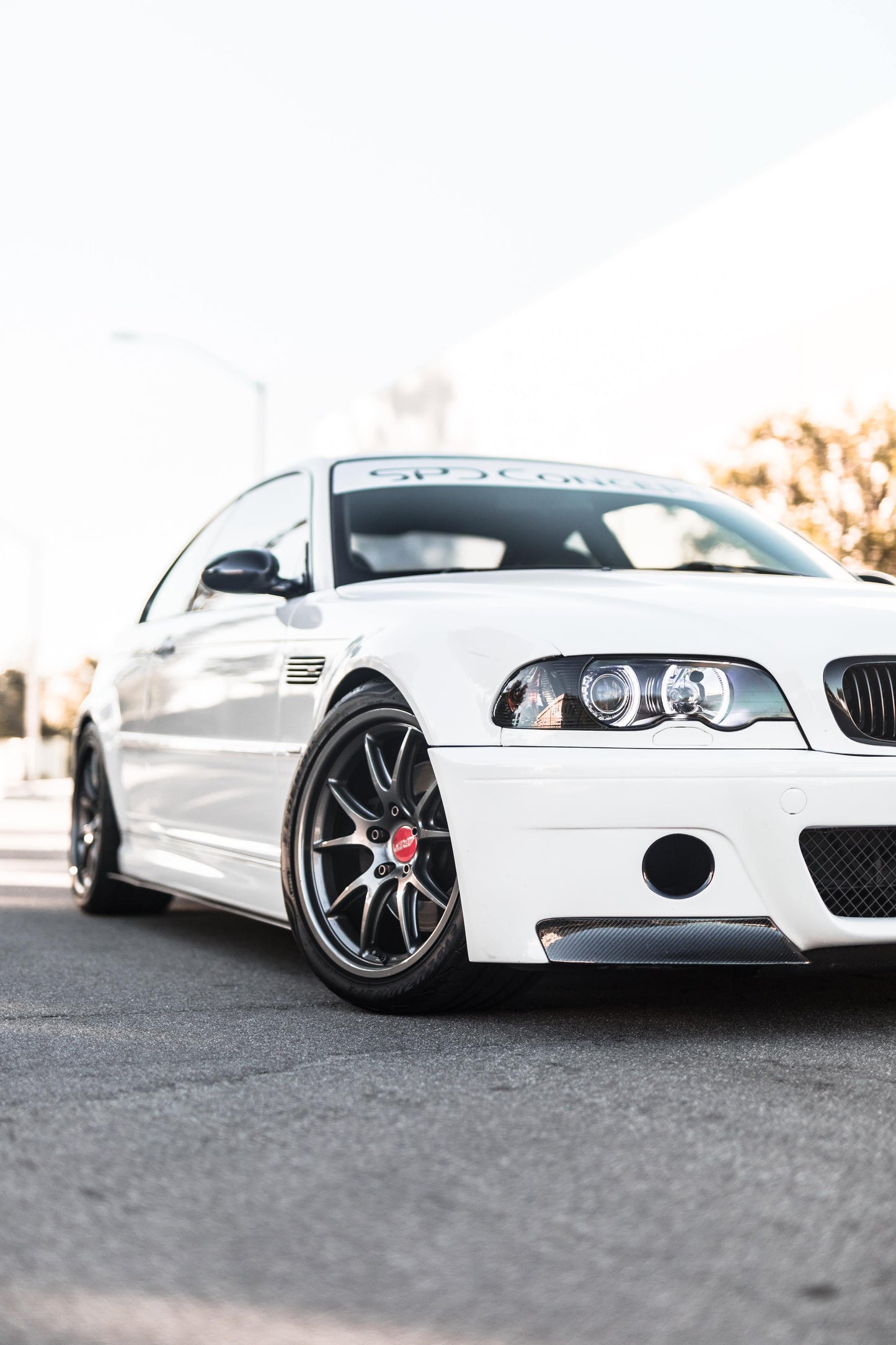AeroFlow Dynamics 2000-2006 Bmw M3 Side Skirt Extension (E46)