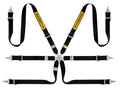 Sabelt Steel Saloon Rally 6-Point Harness