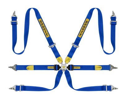 Sabelt Silver Series Enduro Porsche GT2-GT3-GT4 6-Point Racing Harness