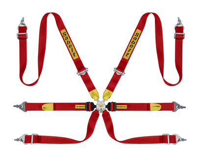 Sabelt Silver Series Enduro Porsche GT2-GT3-GT4 6-Point Racing Harness