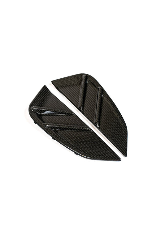 G8X Dry Carbon Fiber Fender Trim Set