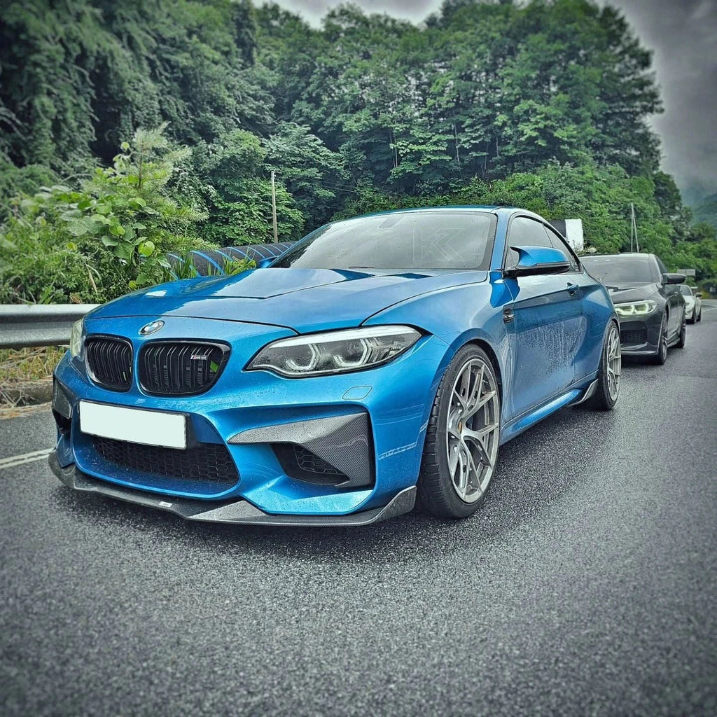 BMW M2 F87 Carbon Fiber Front Flaps (2014 - 2021)