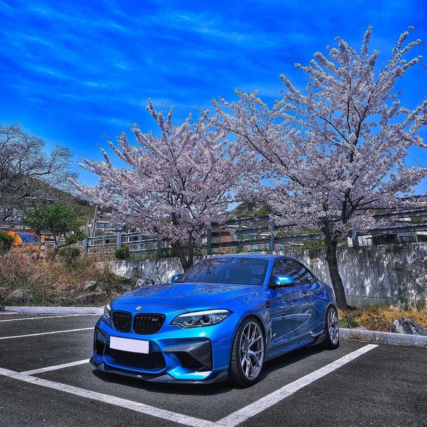 BMW M2 F87 Carbon Fiber Front Flaps (2014 - 2021)