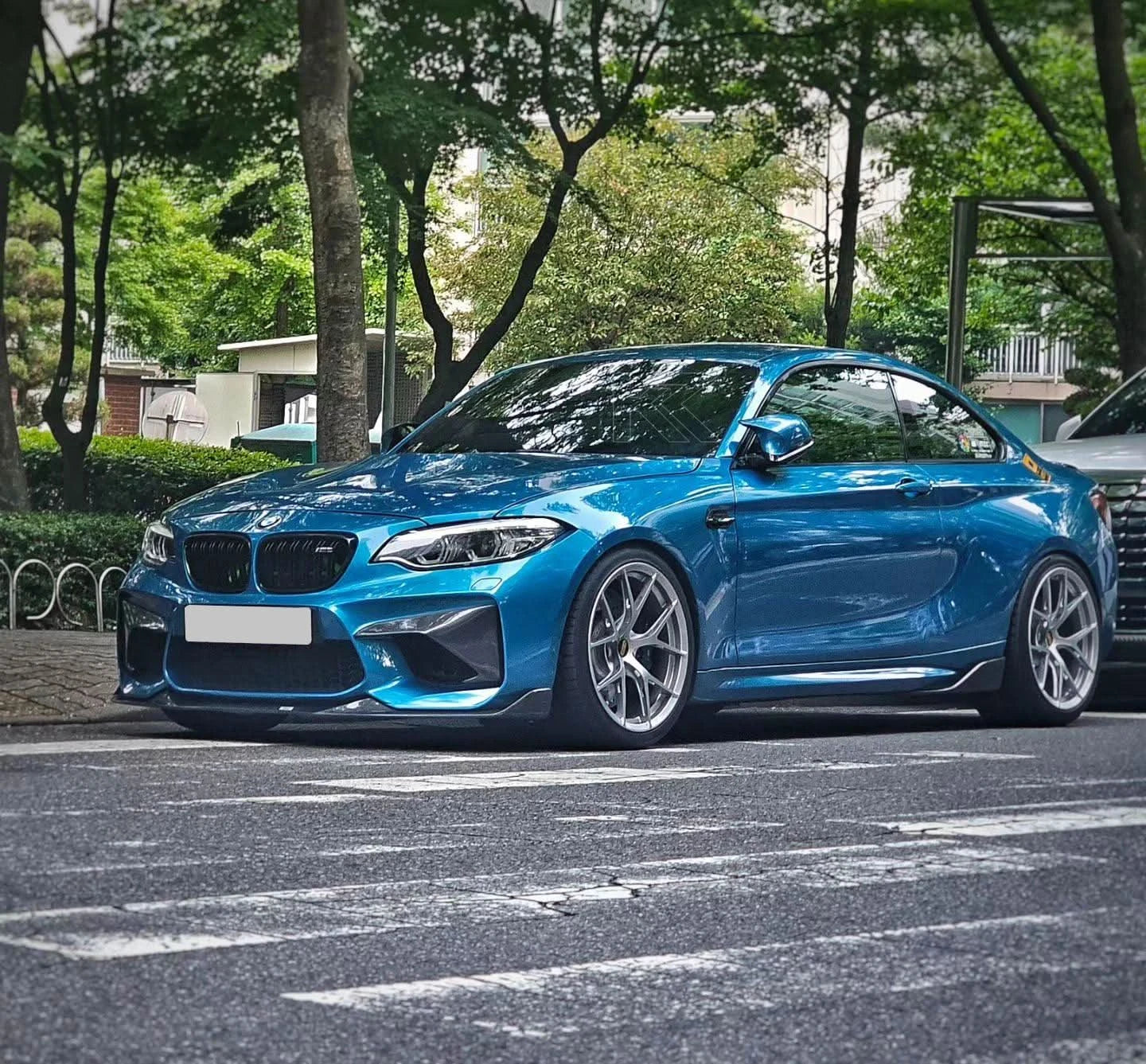 BMW M2 F87 Carbon Fiber Front Flaps (2014 - 2021)