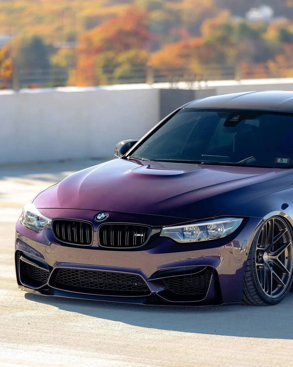 BMW 3 Series F80 M3 F82 F83 M4 CS Style Carbon Fiber Front Lip (2015 - 2019)