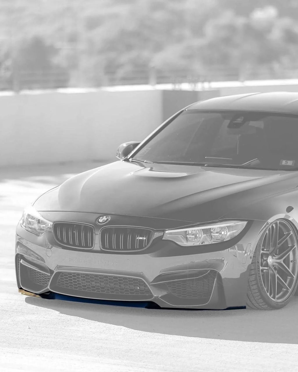 BMW 3 Series F80 M3 F82 F83 M4 CS Style Carbon Fiber Front Lip (2015 - 2019)